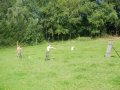 DSCN0768.JPG